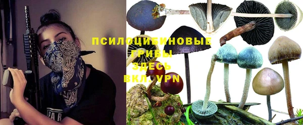 не бодяженный Верхний Тагил